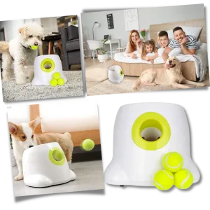 Automatic Dog Ball Launcher