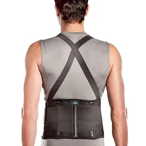 Industrial Back Support