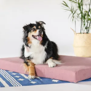 Organic Dog Bed   Pillow Bolster