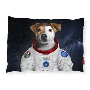 Rover - Pets Rock - Luxury Dog Bed