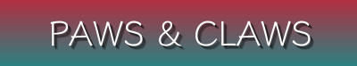 Paws & Claws Pet Supplies - Bedding, Outdoor Gear, Wellness, Travel & Toys